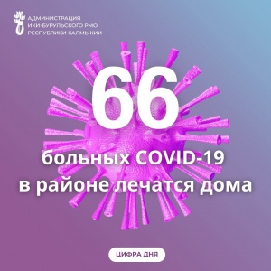 На 16 июля в Ики-Бурульском районе 66 больных COVID-19 лечатся дома (среди них 17 детей).
