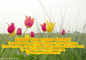 Уважаемые Ики-бурульцы!  Сердечно поздравляю Вас с национальным праздником   Цаган Сар!