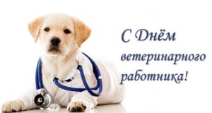 Поздравление с Днем ветеринарного работника Российской Федерации