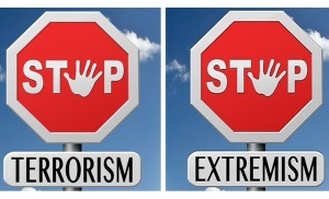 Что такое экстремизм и терроризм?